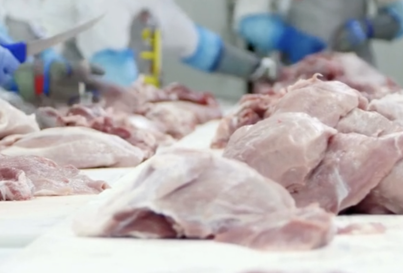 /images/meatprocessors.png